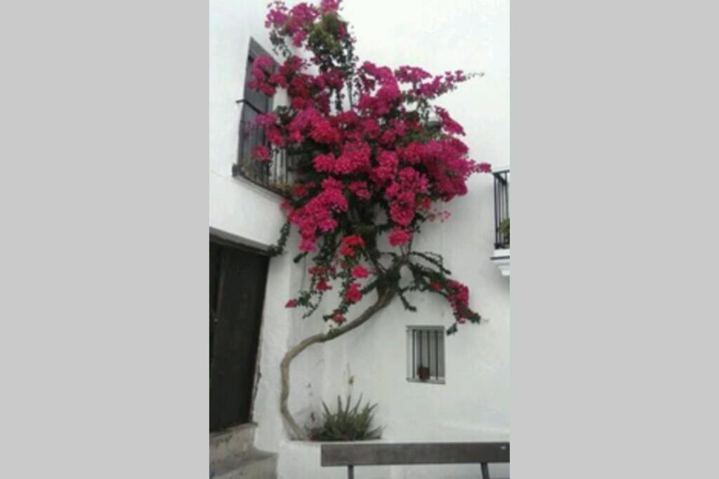 Albayalde Cielo Y Mar Apartment Vejer de la Frontera Luaran gambar
