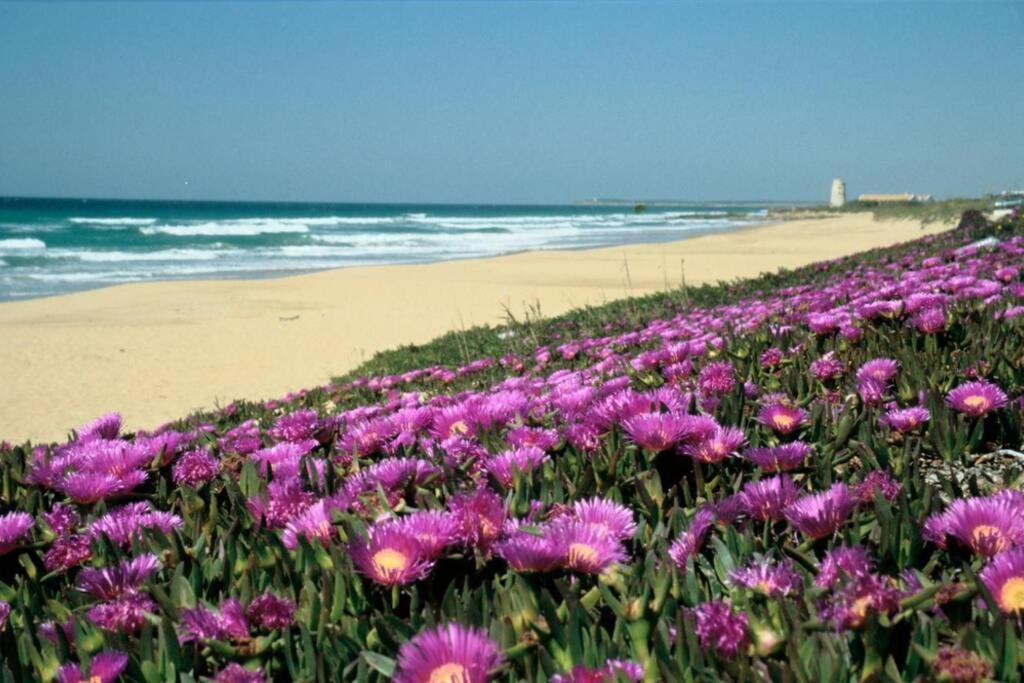 Albayalde Cielo Y Mar Apartment Vejer de la Frontera Luaran gambar
